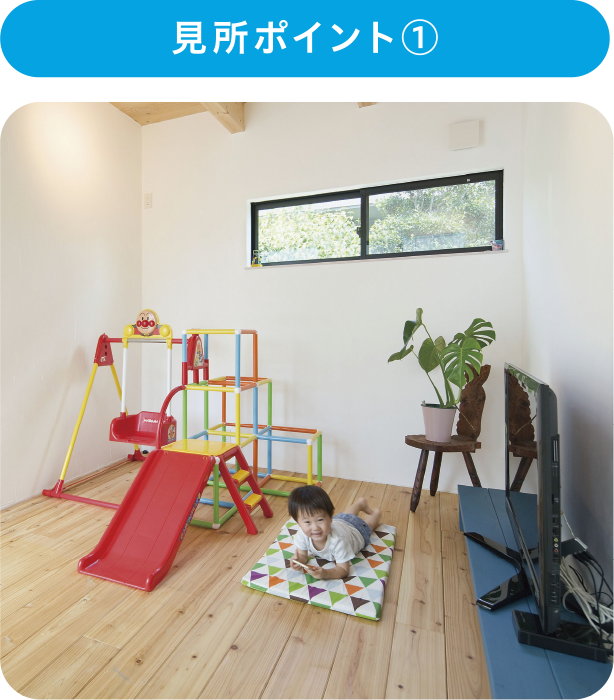 見所ポイント①